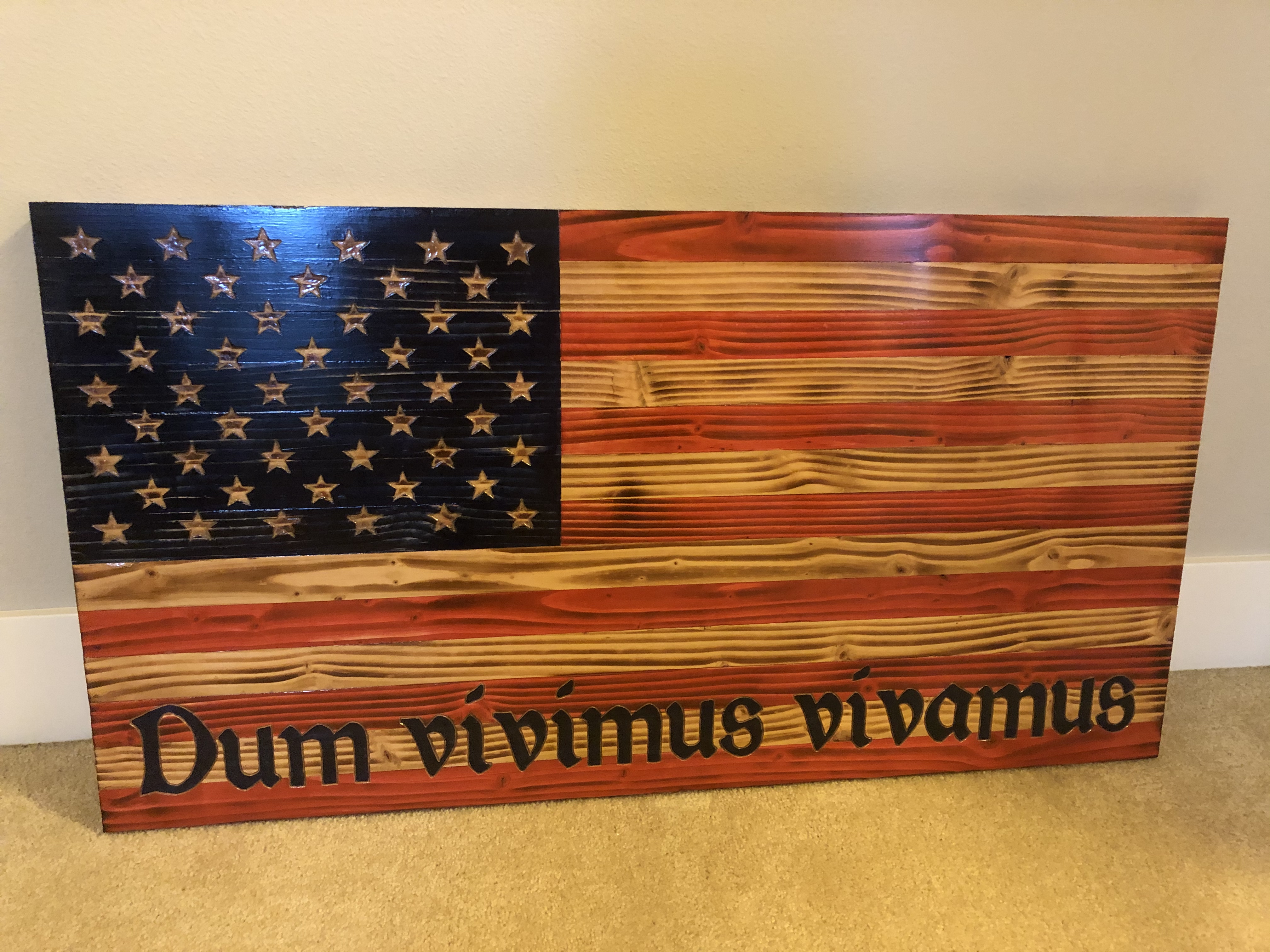 Torch burned American flag with Latin inscription